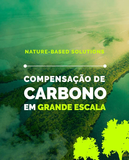  Compensação Carbono em grande escala